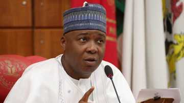 Steer clear of Zamfara politics - Nigerian senator warns Saraki