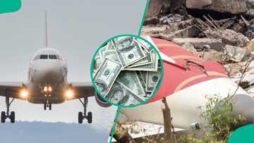 Breakdown of insurance payouts for Air India crash victims released, different from compensation