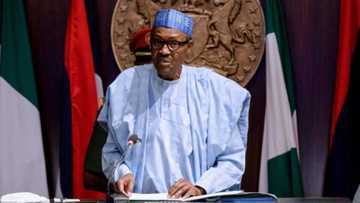 Bayani: Dalilin da ya sa ba za a bude makarantu ba a yanzu - Buhari