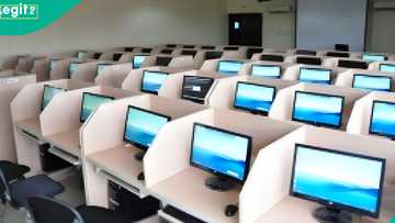 JAMB: Why 3 university students wrote UTME again despite gaining admission