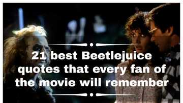 21 best Beetlejuice quotes that every fan of the movie will remember