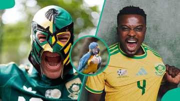 2026 FIFA World Cup: Famous prediction parrot picks winner of Mexico vs South Africa clash