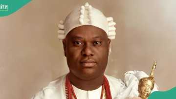 Ooni of Ife bans market associations in Osun state, gives reasons