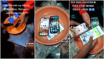 Samsung S22 vs iPhone 14 pro max: Man & friends put devices in water, test resistance strength