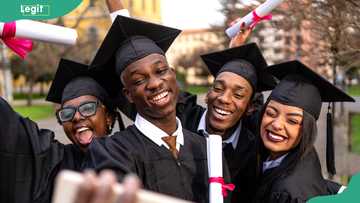 Here are the courses you can study with a low JAMB score and where to apply