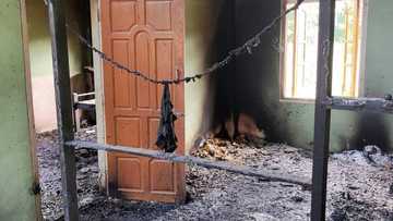 Eleven schoolchildren killed in Myanmar air strike: UNICEF