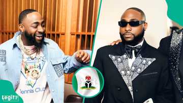 "Nobody can beat me": Davido boasts he can win Nigeria's presidential election under one condition