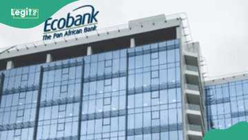 Ecobank, Verve unveil N20m youth grant: How Nigerians aged 16–25 can apply