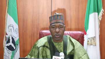 Gwamna Zulum ya kaddamar da ayyuka 320 a kwanaki 365 na farko da ya shafe a ofis