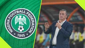 Peseiro advises NFF on who to consider appointing as Super Eagles coach