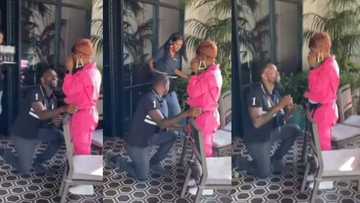 Waitress drops all champagne glasses in middle of couple’s marriage proposal, many say it's a bad omen