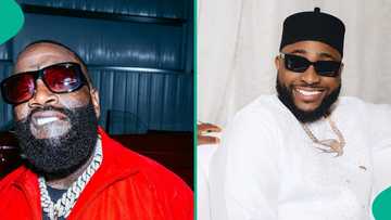 Rick Ross names Davido among global superstars, says he wants to meet him: "Already a legend"