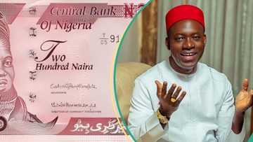 AnambraDecides2025: Did Soludo remove Arabic texts on naira notes as CBN governor? Fact emerges