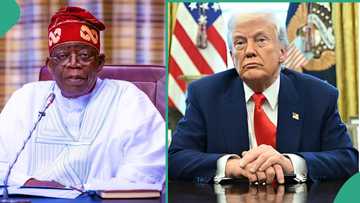 “What Tinubu discussed with US President Trump’s advisor,” official speaks