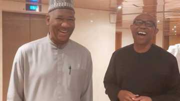 2023 election: “Our followers are organic, we don’t rent crowd like others”, says Peter Obi’s running mate