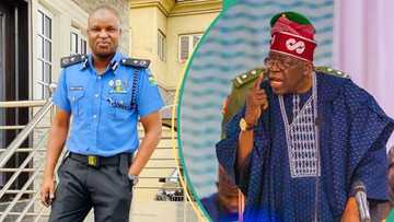 Did Tinubu order release, reinstatement of Abba Kyari? Social media claims fact-checked