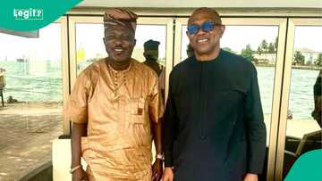 'Not our member,’ Drama as LP disowns Arabambi over suit seeking release of Peter Obi’s academic records