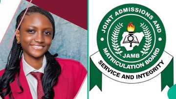2025 UTME top scorer in Lagos School celebrated for brilliant result, high marks in science subjects
