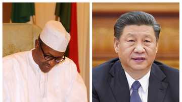 Muhammadu Buhari ya aikawa Shugaban kasar China wasika ta musamman (Hotuna)