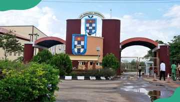 Post-UTME 2026: List of universities that have released admission form