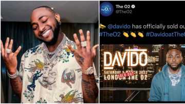 Will he bring Wizkid on stage? Excitement as Davido officially sold out 20,000 capacity London O2 Arena