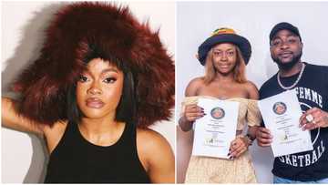 "How many of u want to sleep with me?" Davido's ex-signee Liya's lyrics in new song cause a buzz, video trends