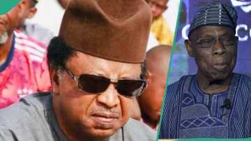 Tuna baya: Shehu Sani ya bayyana yadda ya ceto Obasanjo daga shan duka a gidan yari