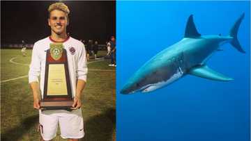 Hankula sun tashi bayan an gano gawar dan kwallo da kifi suka cinye a teku