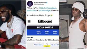 "Odogwu ways": Fans react as Burna Boy & Rema become only African artists to appear on India's billboard chart