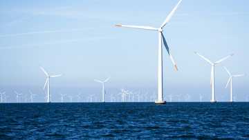 Danish firm Orsted halts huge UK offshore wind farm project