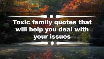 100+ toxic family quotes that will help you deal with your issues