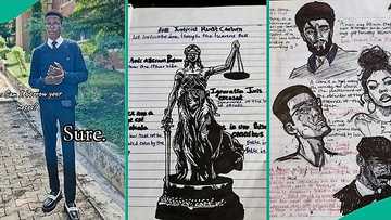 Photos of law student's notebook leave everyone baffled as netizens spot his artistic diagrams