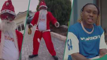 Drama as Zlatan Ibile unveils his Christmas side hustle: "Pikin must chop, papa gats hustle"
