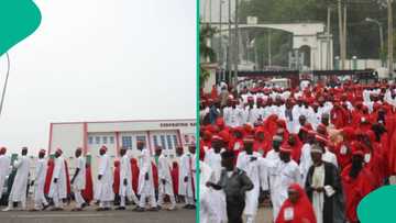 Za a yi auren gata a Kano, 'yan mata, zawarawa da samari 3,000 za su angwance