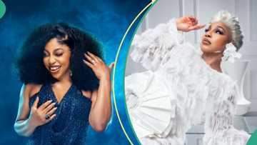 Rita Dominic and troll clash after he criticised her risque birthday pictures: “Damaged people"