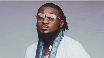 Nigerian singer Ceeza Milli says he has written yet to be released songs for Rihanna and Zara Larsson