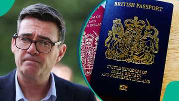 UK government lists 6 categories of people eligible to apply for British passport