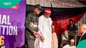 Kano: Wuta ta taso a NDC, shugaban jam'iyya ya jefi Kwankwaso da zargin kama karya