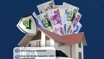 Top insurance brokers in Nigeria 2026: Reliable protection and risk management