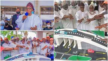Nigerian governor celebrates birthday with special "flyover bridge" cake, shares photos