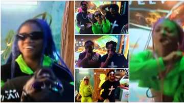 BBNaija: Shine Ya Eye housemates get lit on the dancefloor as they rock neon outfits for Saturday night party