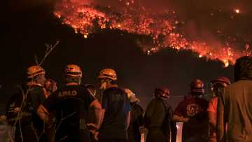 LA wildfires push insurance losses to highest since 2011: Munich Re