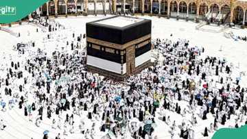 2026 Hajj begins as over 1.5 million pilgrims arrive in Mecca, photos trend
