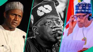 'Tinubu's 2yrs better than Yar'Adua, Buhari, Jonathan, Obasanjo': APC declares, gives reasons