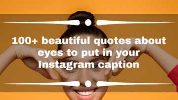 100+ beautiful quotes about eyes to put in your Instagram caption