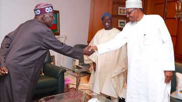 Shugaba Buhari ya karbi bakuncin Tinubu da Bisi Akande (Hotuna)