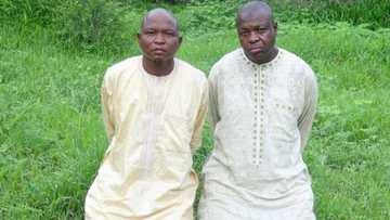 Bayan wata 4, Boko Haram sun sako jami'in gwamnati da mutum 1 da suka sace