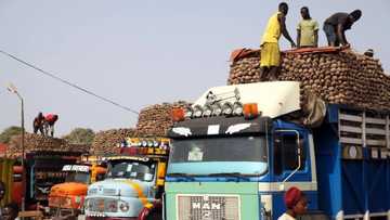 List of top 10 famous markets in Nigeria and what they are known for