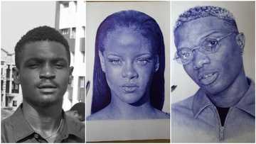 Young Nigerian artist from Ibadan draws Wizkid, Rihanna with pen on paper (see photos)