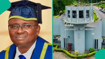 University of Ibadan releases 2026/2027 admission cut-off marks for Petroleum Engineering, others